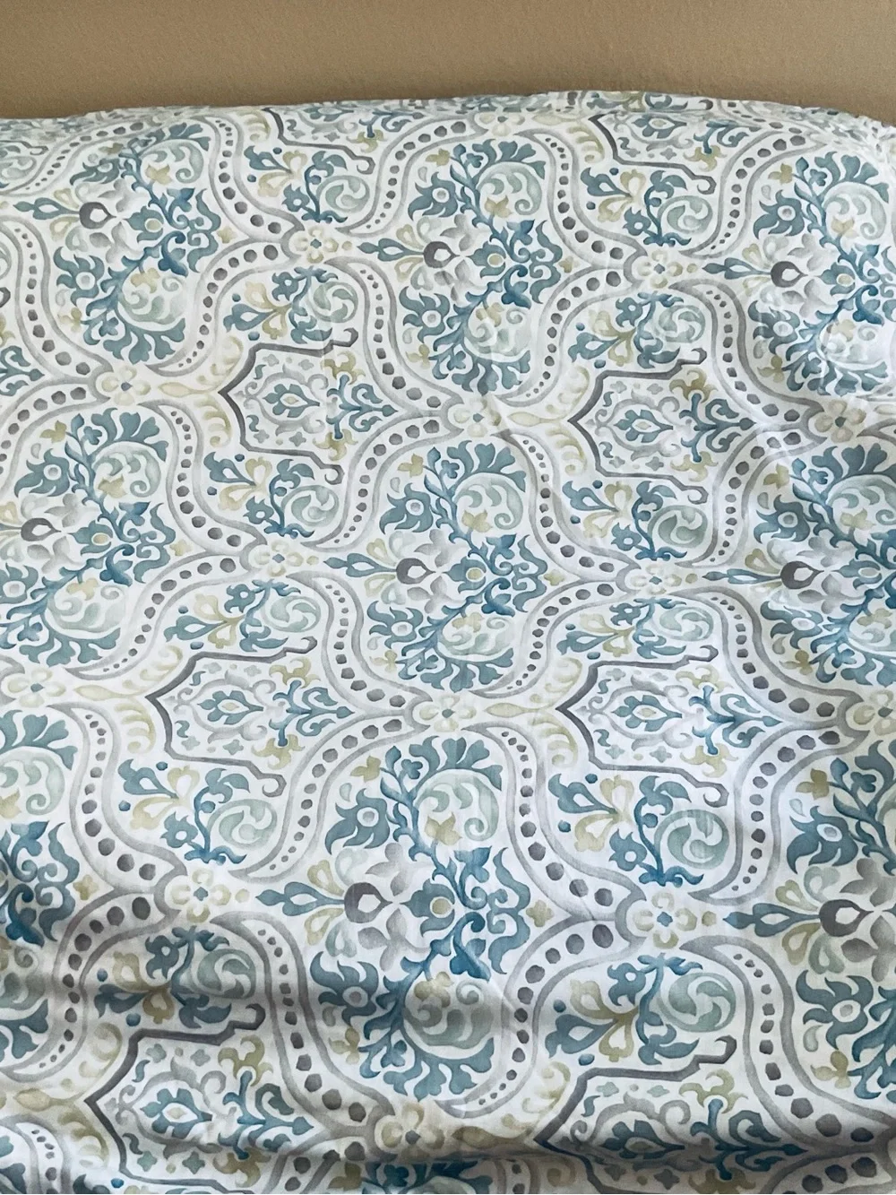 Pottery Barn Jessie King Duvet Cover & 2 King Shams
